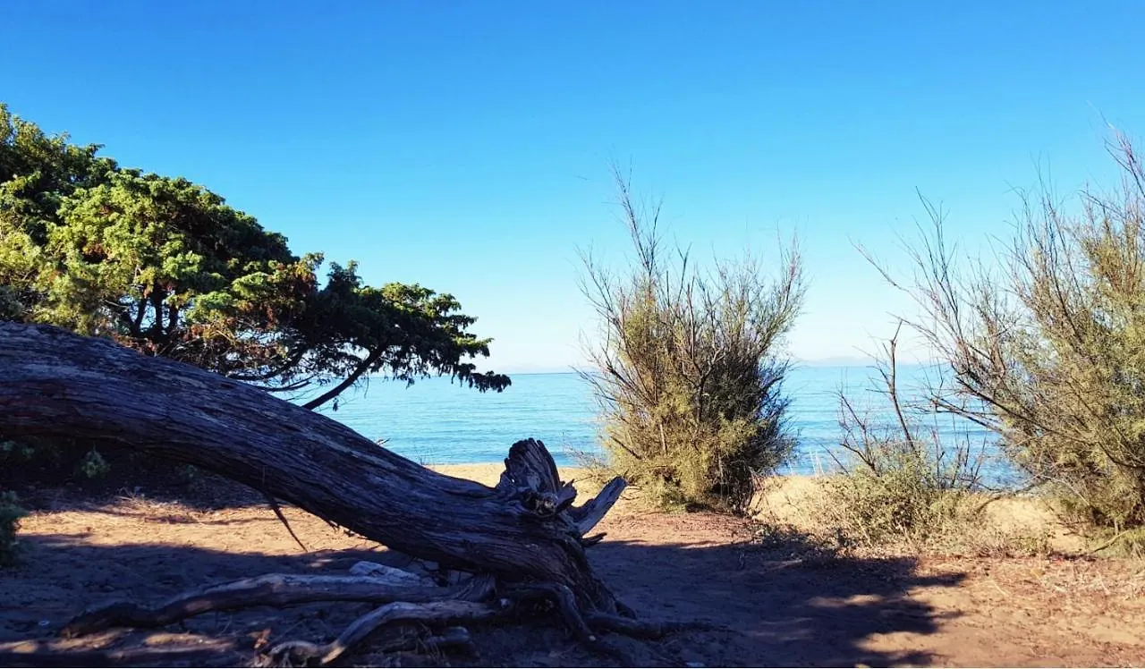 Apartment Appartamento Claudi A San Vincenzo